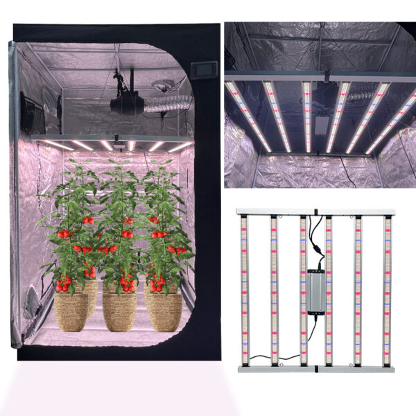 720W light for grow tent